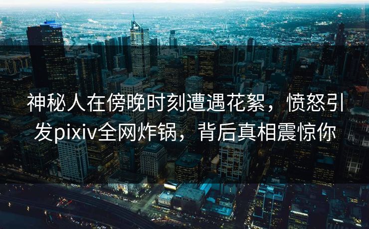 神秘人在傍晚时刻遭遇花絮,愤怒引发pixiv全网炸锅,背后真相震惊你