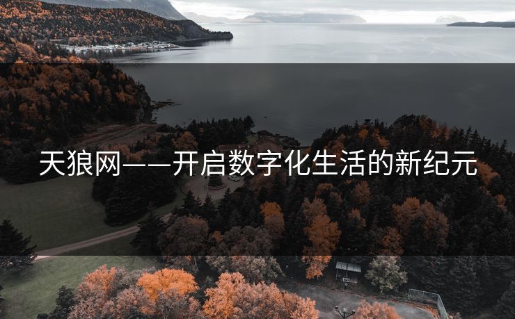 天狼网——开启数字化生活的新纪元